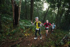 BIB: 
                            <button type="button" onclick="openModal(22432170)" class="btn btn-primary btn-sm float-right btn-popup" data-toggle="modal" data-target=".modal-high-quality">
                        <i class="fas fa-shopping-cart"></i> Add to Cart
                    </button>
                                            <button type="button" onclick="isThisMe(22432170, true)" class="btn btn-success btn-sm float-right btn-popup btn-isme hidden" data-toggle="tooltip" data-placement="bottom" title="นี่คือรูปของคุณใช่ไหม คลิกที่นี่เพื่อเอาเข้าอัลบั้ม">
                        <i class="fas fa-plus"></i> Add to album
                    </button>
                    <button type="button" onclick="isThisMe(22432170, false)" class="btn btn-warning btn-sm float-right btn-popup btn-isnotme hidden">
                        <i class="fas fa-ban"></i> Remove from album
                    </button>